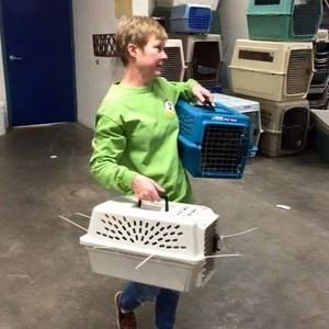 Meet your Posher, Arlys